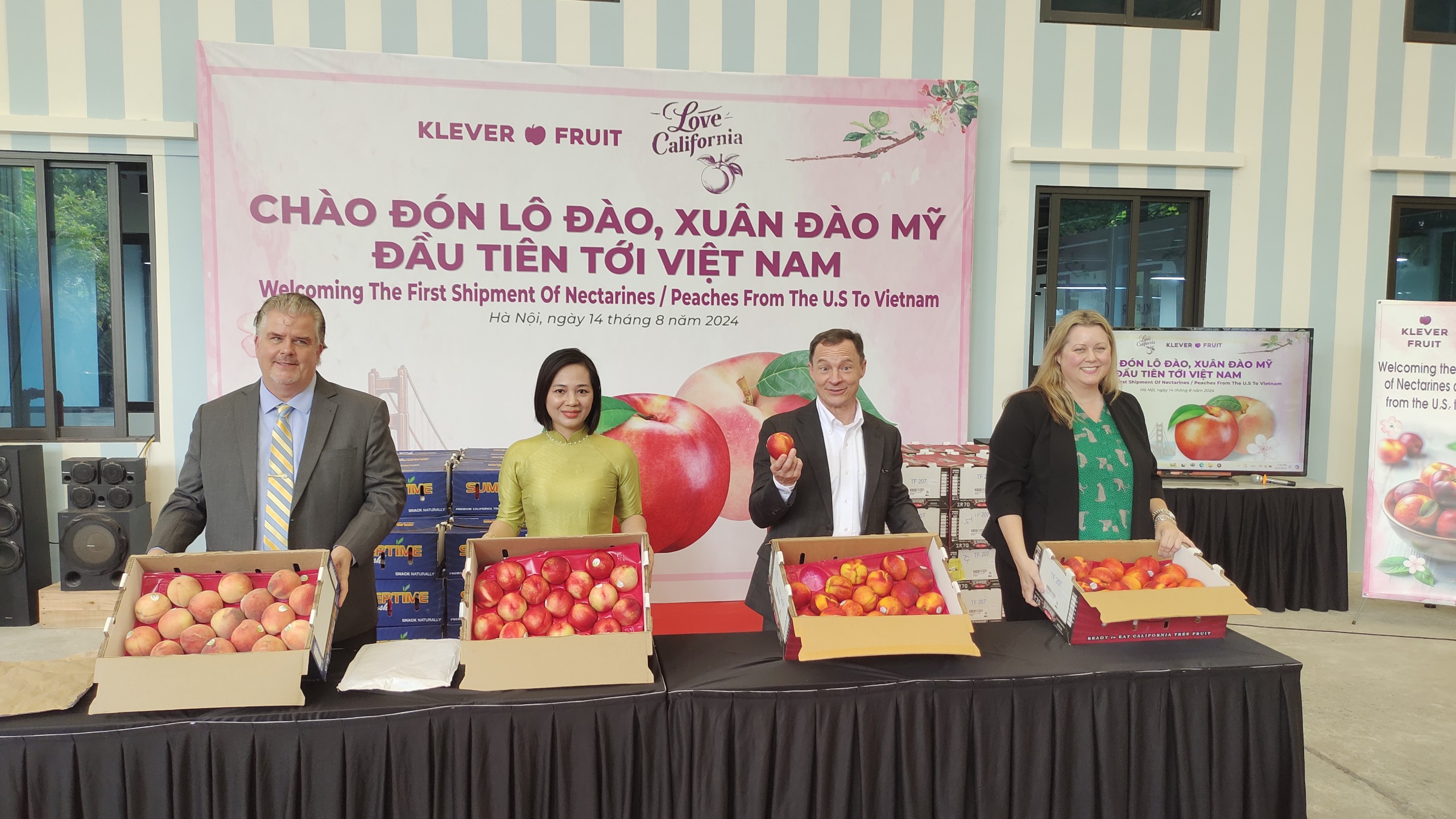 Lần đầu tiên Việt Nam nhập khẩu quả đào, xuân đào Mỹ, - Ảnh 1.