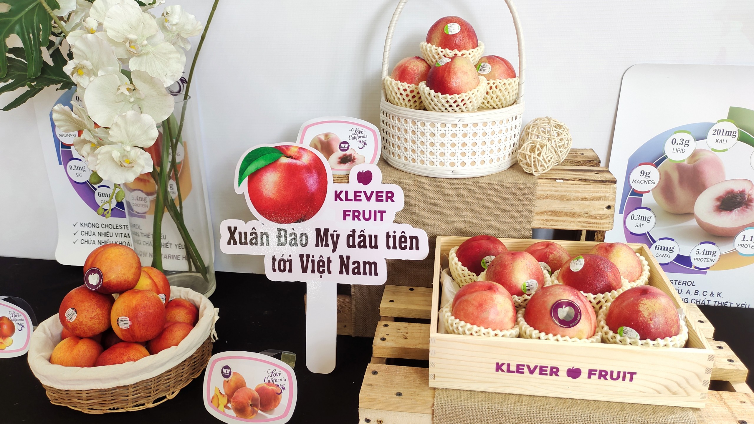 Lần đầu tiên Việt Nam nhập khẩu quả đào, xuân đào Mỹ, - Ảnh 4.