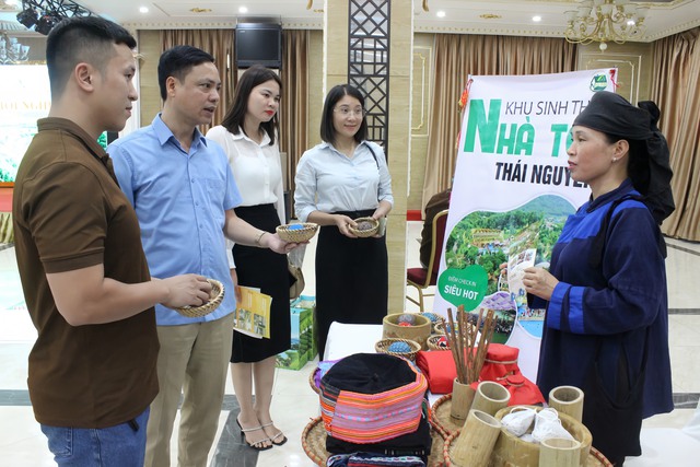 Xúc tiến quảng bá du lịch Thái Nguyên - Vĩnh Phúc - Phú Thọ - Ảnh 2. Xúc tiến quảng bá du lịch Thái Nguyên - Vĩnh Phúc - Phú Thọ - Ảnh 2.