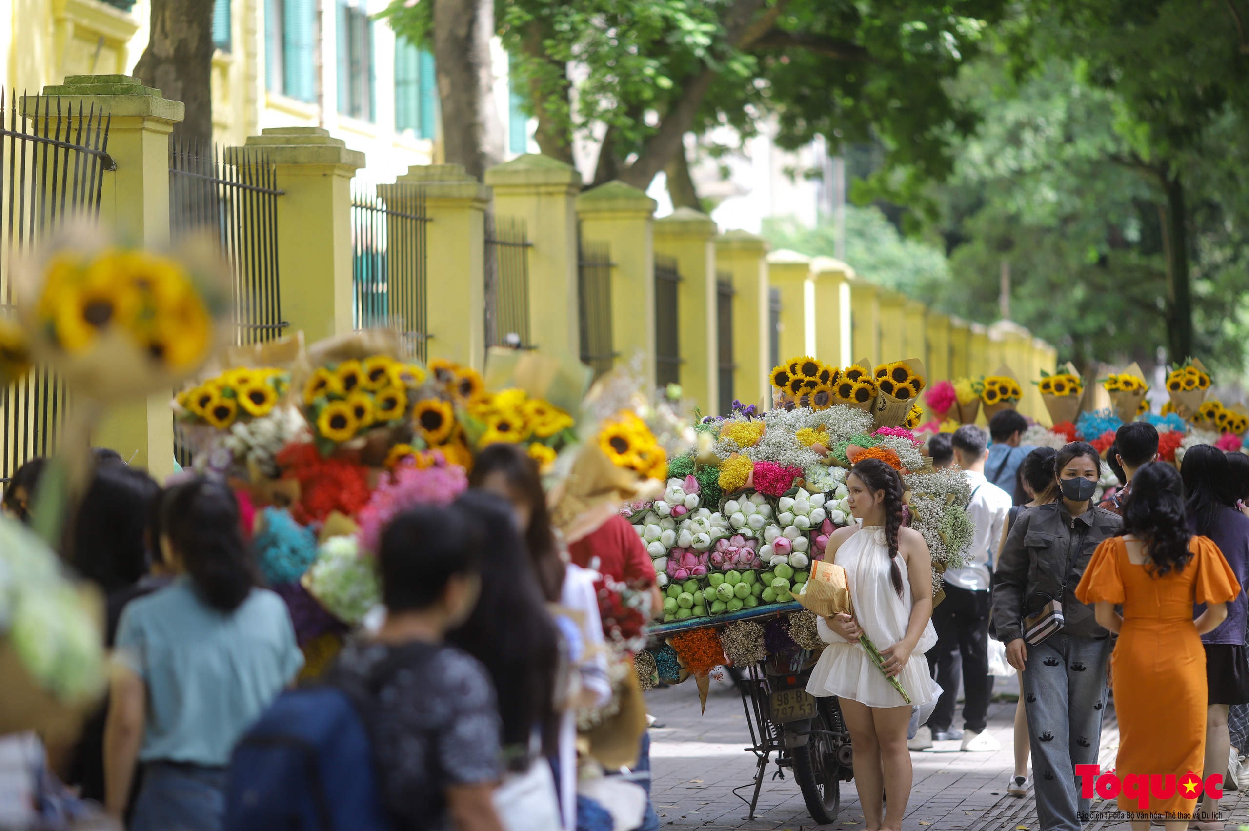 Hà Nội: Chấp nắng nóng các '"nàng thơ" nô nức chen chân check- in phố mùa thu Phan Đình Phùng - Ảnh 6. Hà Nội: Chấp nắng nóng các '"nàng thơ" nô nức chen chân check- in phố mùa thu Phan Đình Phùng - Ảnh 6.