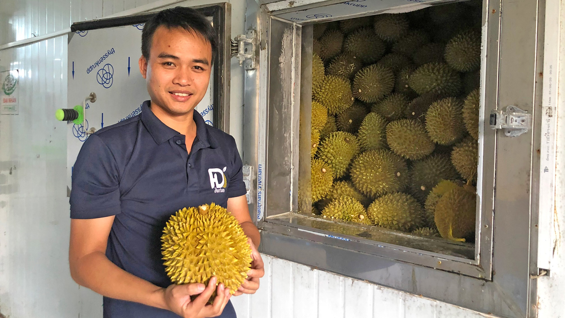 Việt Nam có thể thu thêm nửa tỷ USD từ xuất khẩu sầu riêng đông lạnh sang Trung Quốc- Ảnh 2. Việt Nam có thể thu thêm nửa tỷ USD từ xuất khẩu sầu riêng đông lạnh sang Trung Quốc- Ảnh 2.