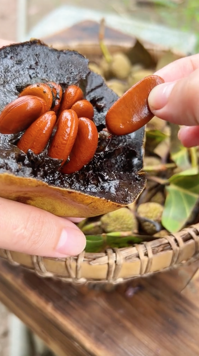 Loại quả 'đen sì' ở Việt Nam, hương vị độc lạ được nhiều người săn lùng: Riêng hạt giống đã lên tới 50k/hạt nhỏ xíu - Ảnh 4. Loại quả 'đen sì' ở Việt Nam, hương vị độc lạ được nhiều người săn lùng: Riêng hạt giống đã lên tới 50k/hạt nhỏ xíu - Ảnh 4.