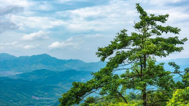 U65, có lương hưu 28 triệu đồng/tháng, nhưng ai hỏi tôi chỉ cười, nói đủ tiêu: Giữ bí mật điều này cuộc sống hạnh phúc hơn- Ảnh 2. U65, có lương hưu 28 triệu đồng/tháng, nhưng ai hỏi tôi chỉ cười, nói đủ tiêu: Giữ bí mật điều này cuộc sống hạnh phúc hơn- Ảnh 2.