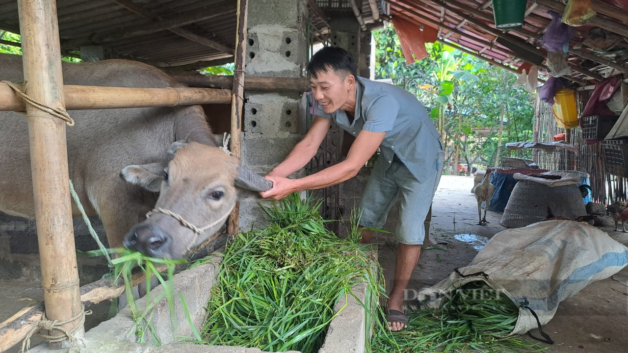 Đa dạng nhiều dự án giảm nghèo ở Phú Lương, tạo sinh kế giúp bà con thoát nghèo- Ảnh 2. Đa dạng nhiều dự án giảm nghèo ở Phú Lương, tạo sinh kế giúp bà con thoát nghèo- Ảnh 2.