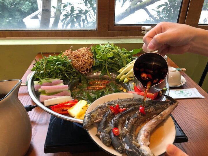 Cách nấu lẩu cá kèo ngon chuẩn vị tại nhà - Ảnh 4. Cách nấu lẩu cá kèo ngon chuẩn vị tại nhà - Ảnh 4.