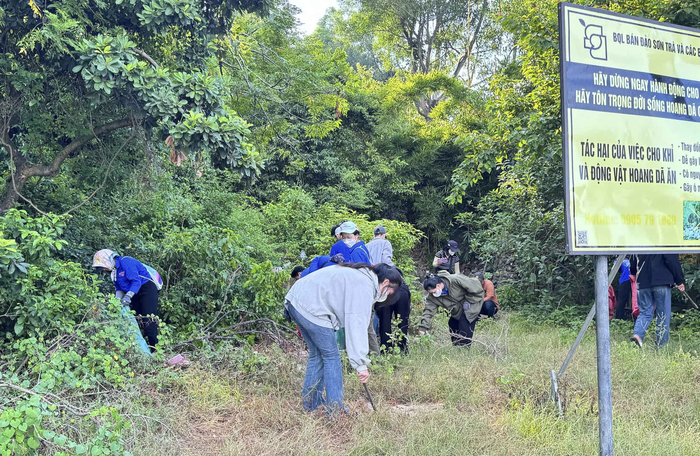 Hàng trăm tình nguyện viên tham gia nhặt rác bảo vệ môi trường và rạn san hô bán đảo Sơn Trà - Ảnh 2. Hàng trăm tình nguyện viên tham gia nhặt rác bảo vệ môi trường và rạn san hô bán đảo Sơn Trà - Ảnh 2.