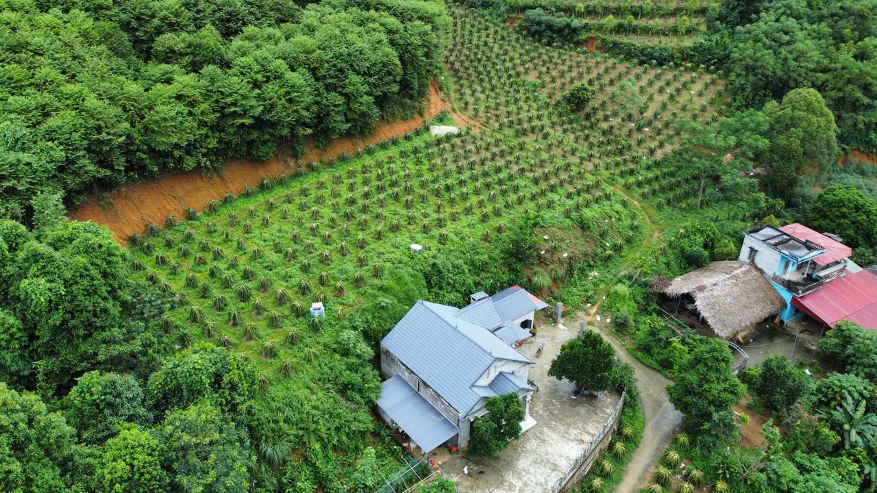 Chương trình xây dựng NTM đã góp phần thay đổi rõ rệt diện mạo nông thôn ở Bảo Yên Chương trình xây dựng NTM đã góp phần thay đổi rõ rệt diện mạo nông thôn ở Bảo Yên