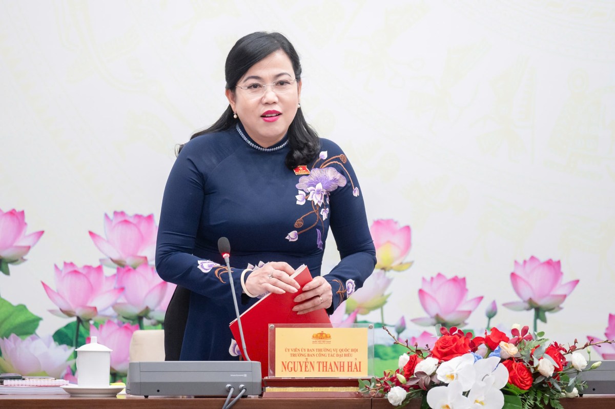 Trưởng ban Công tác đại biểu thuộc Ủy ban Thường vụ Quốc hội Nguyễn Thanh Hải. Ảnh: Phạm Đông