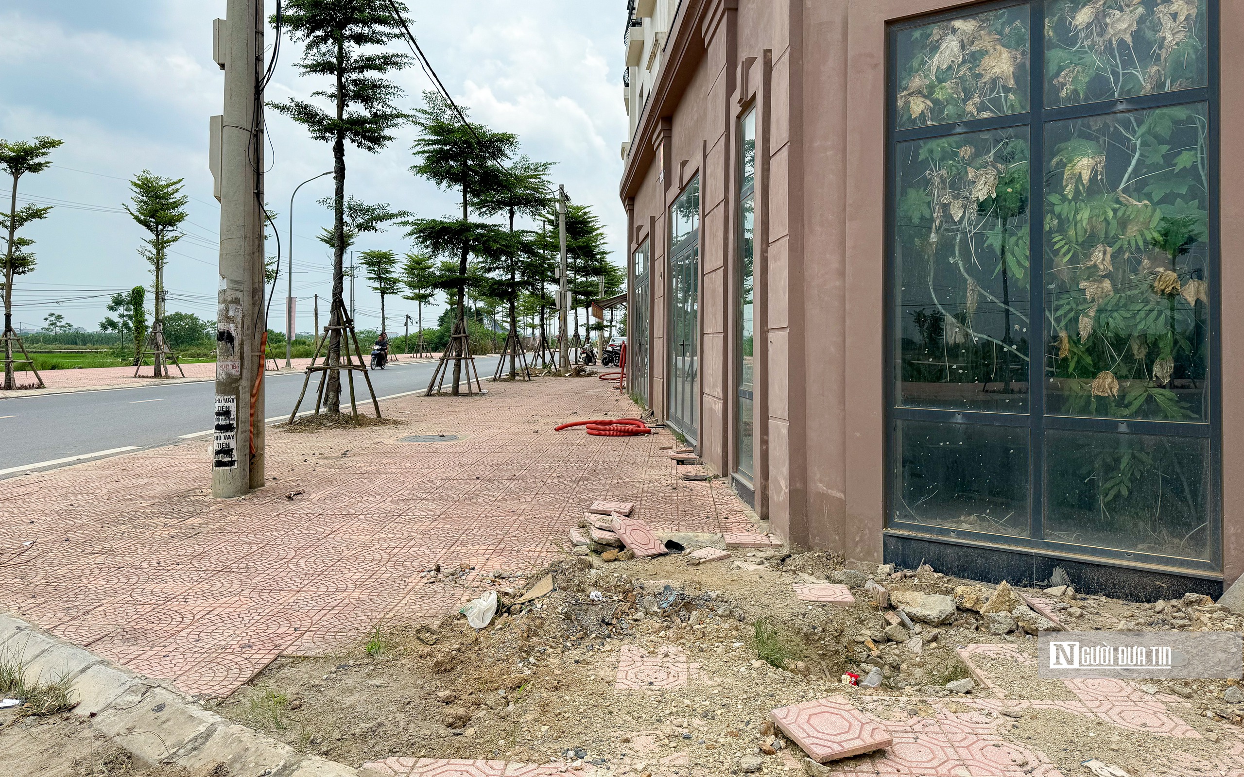 Hà Nội: Cỏ mọc um tùm trong nhà liền kề chục tỷ tại dự án Sơn Đồng Center- Ảnh 10. Hà Nội: Cỏ mọc um tùm trong nhà liền kề chục tỷ tại dự án Sơn Đồng Center- Ảnh 10.