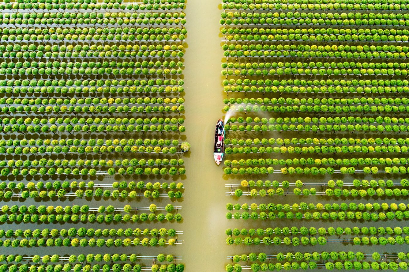 Thương nhớ Tết miền Tây