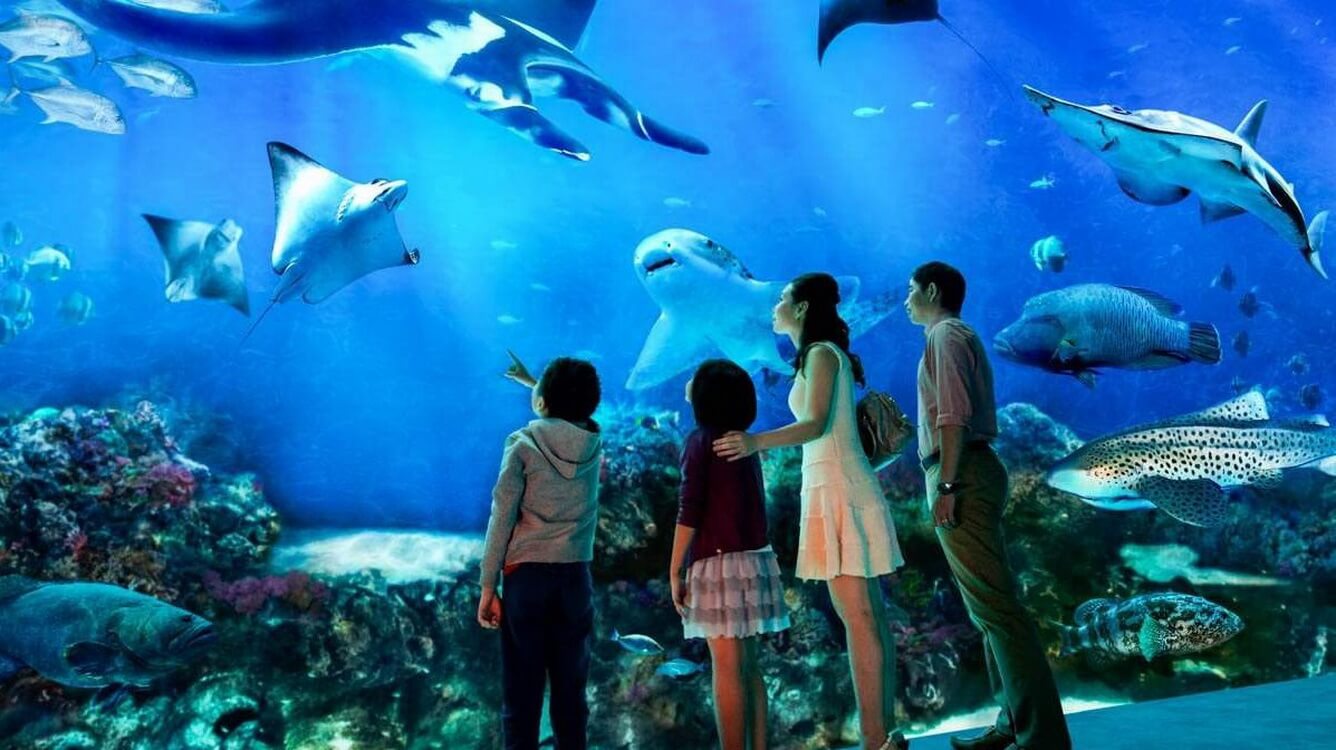 Singapore - Sea Aquariums và Garden by the Bay Singapore - Sea Aquariums và Garden by the Bay