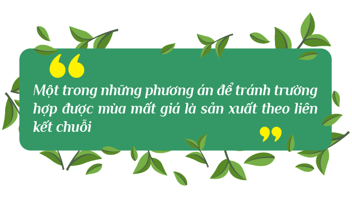 Để đồi chè Thái Nguyên thêm xanh và gia tăng giá trị- Ảnh 4. Để đồi chè Thái Nguyên thêm xanh và gia tăng giá trị- Ảnh 4.