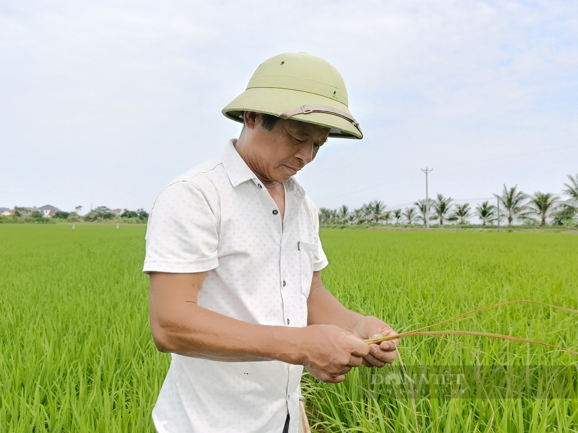Từng bị gọi là