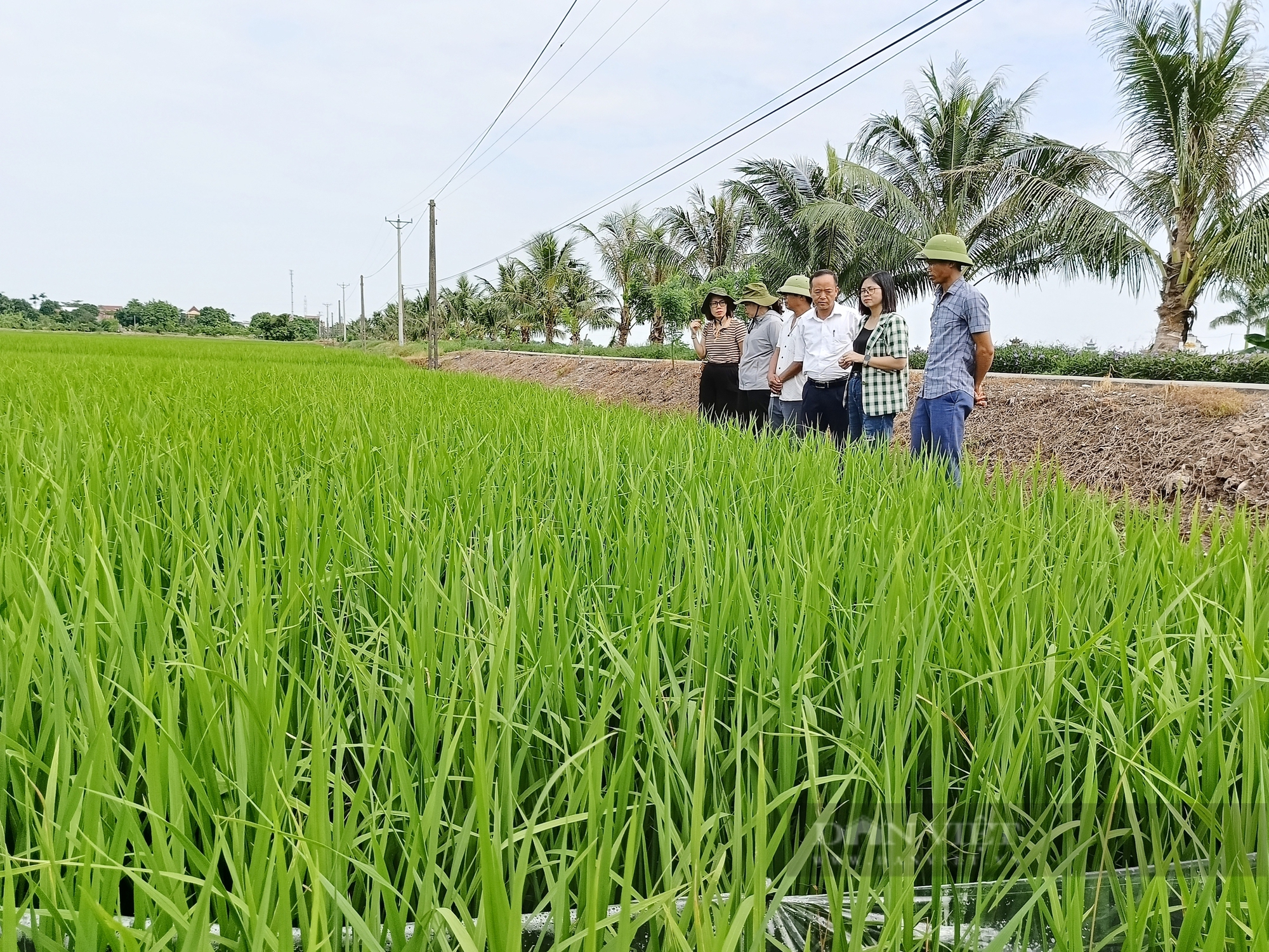 Từng bị gọi là