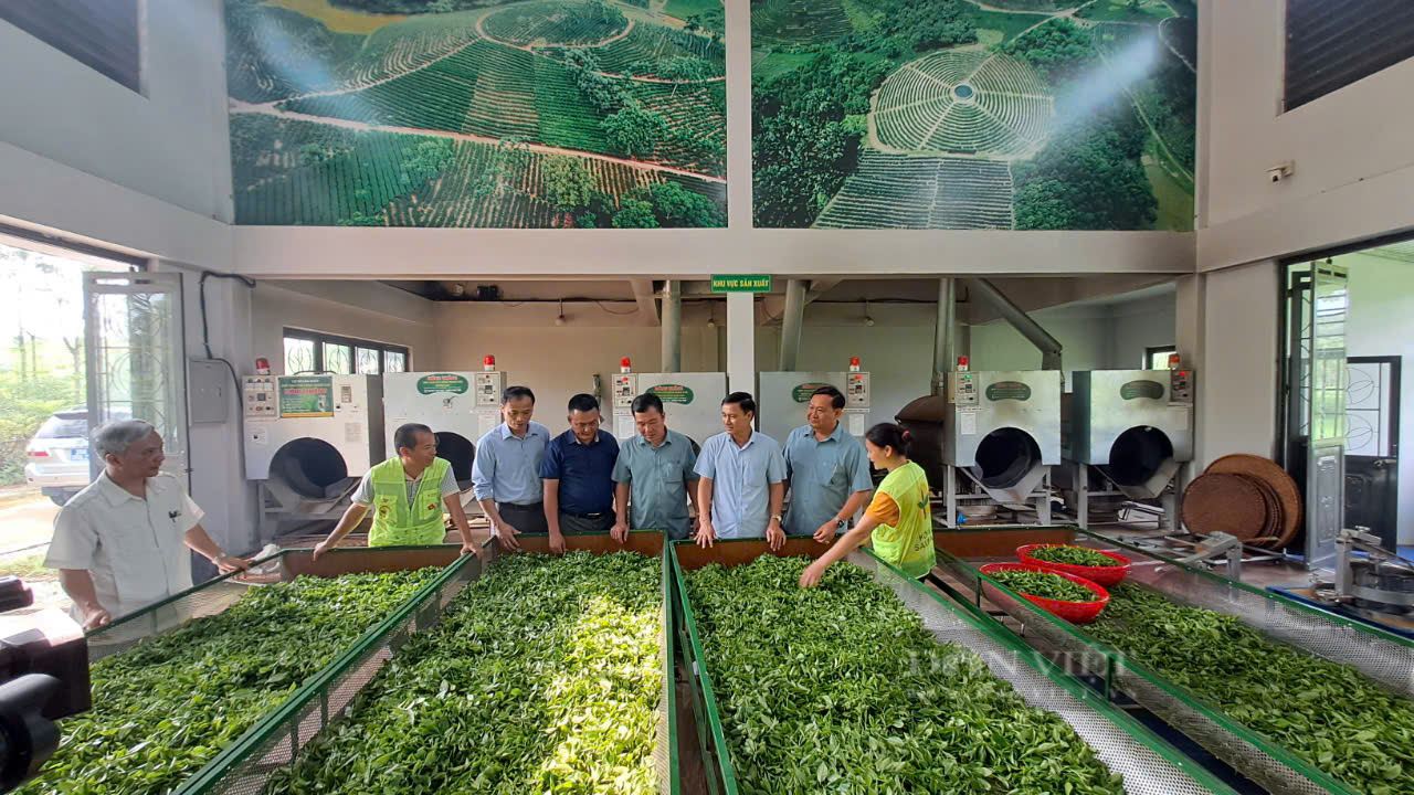 Gần 8.000 tỷ đồng đầu tư xây dựng nông thôn mới ở huyện Định Hoá, tỉnh Thái Nguyên- Ảnh 4. Gần 8.000 tỷ đồng đầu tư xây dựng nông thôn mới ở huyện Định Hoá, tỉnh Thái Nguyên- Ảnh 4.
