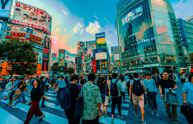 5 địa điểm check-in lý tưởng ở Tokyo dành cho bạn- Ảnh 1. 5 địa điểm check-in lý tưởng ở Tokyo dành cho bạn- Ảnh 1.