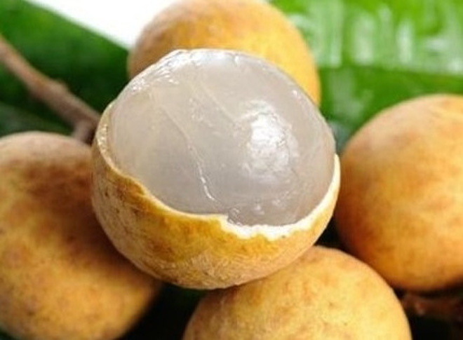 Bài thuốc quý trị bệnh từ long nhãn- Ảnh 1. Kết quả hình ảnh cho các hình ảnh vá» quả nhãn