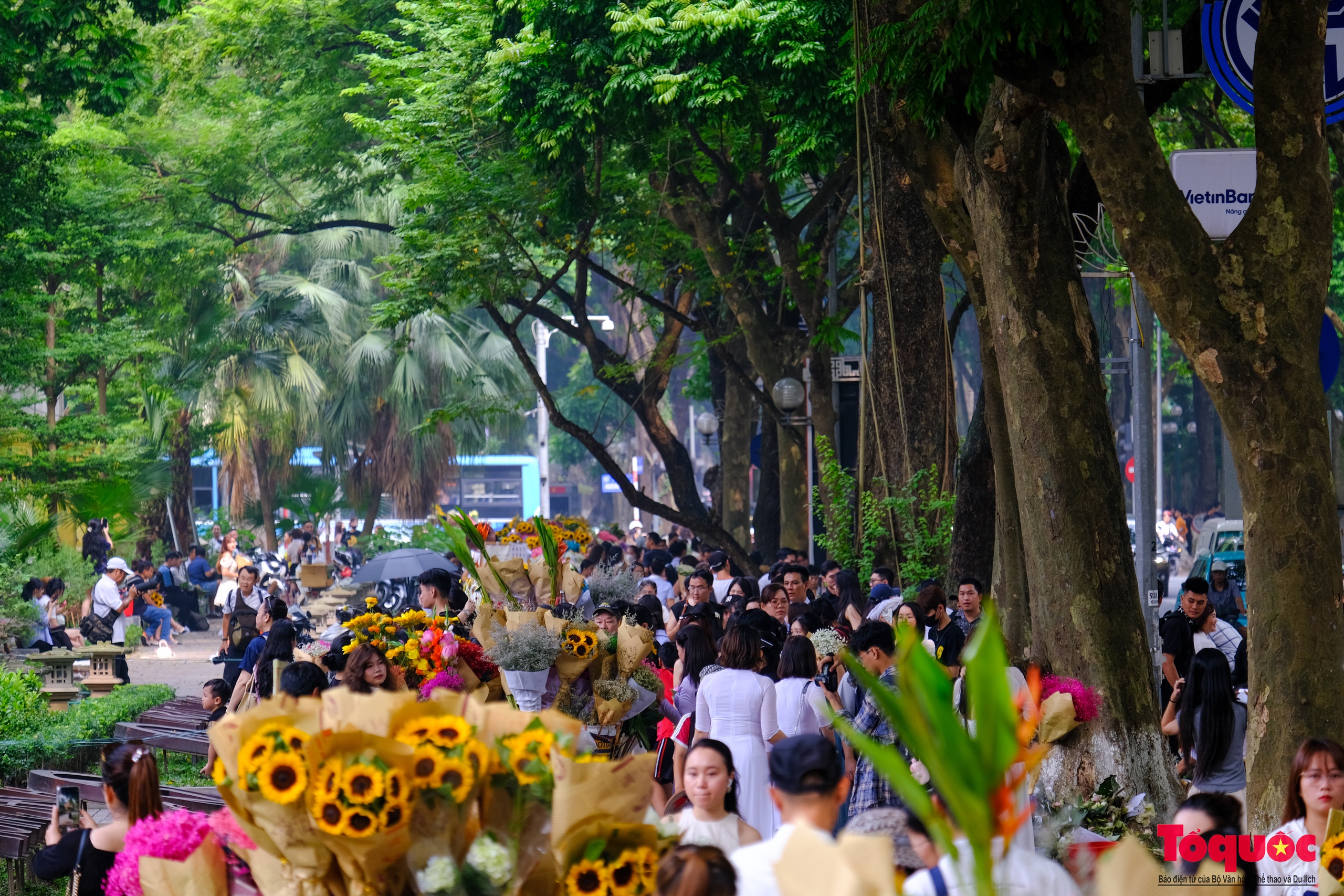 Hà Nội: Chấp nắng nóng các '"nàng thơ" nô nức chen chân check- in phố mùa thu Phan Đình Phùng - Ảnh 1. Hà Nội: Chấp nắng nóng các '"nàng thơ" nô nức chen chân check- in phố mùa thu Phan Đình Phùng - Ảnh 1.
