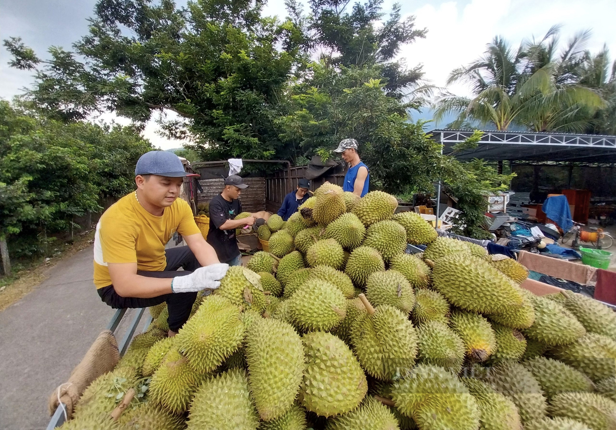 Trung Quốc đồng ý - Ảnh 1.