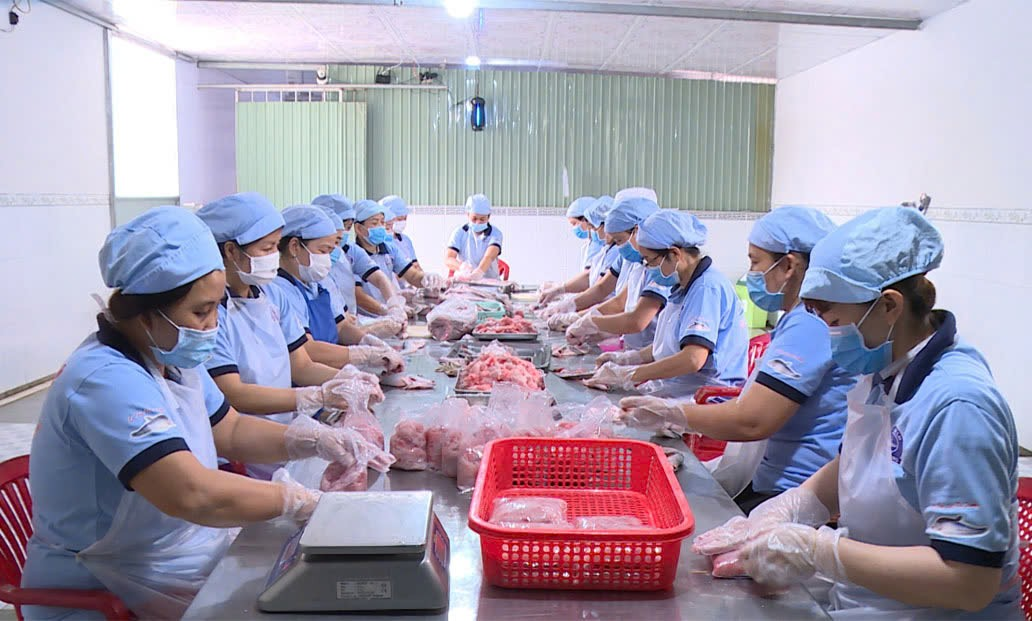 Đưa OCOP Hậu Giang vươn ra biển lớn - Ảnh 1.