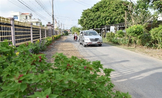 Đường hoa đậu biếc ở Trà Vinh đẹp mê ly luôn, thiên hạ tha hồ chụp hình, dân có thêm tiền chợ- Ảnh 1. Đường hoa đậu biếc ở Trà Vinh đẹp mê ly luôn, thiên hạ tha hồ chụp hình, dân có thêm tiền chợ- Ảnh 1.