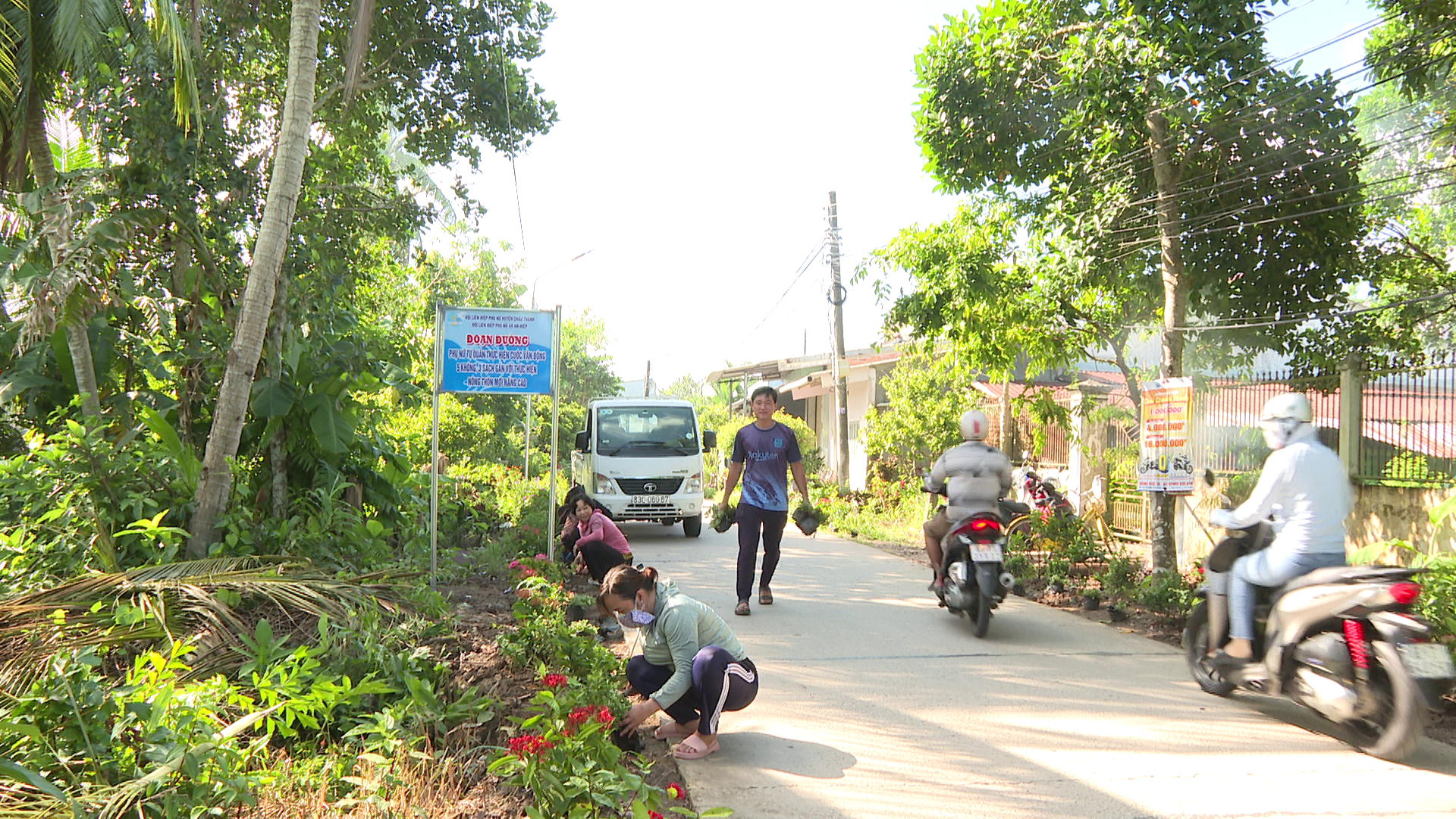 Đường hoa nông thôn mới ở một huyện của Sóc Trăng đẹp như phim, dân tình tha hồ chụp hình- Ảnh 1. Đường hoa nông thôn mới ở một huyện của Sóc Trăng đẹp như phim, dân tình tha hồ chụp hình- Ảnh 1.