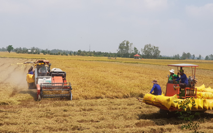 Hai bộ trưởng đồng tình đề xuất thành lập Hội đồng Lúa gạo quốc gia- Ảnh 2. Lúa gạo Việt Nam: mừng và lo