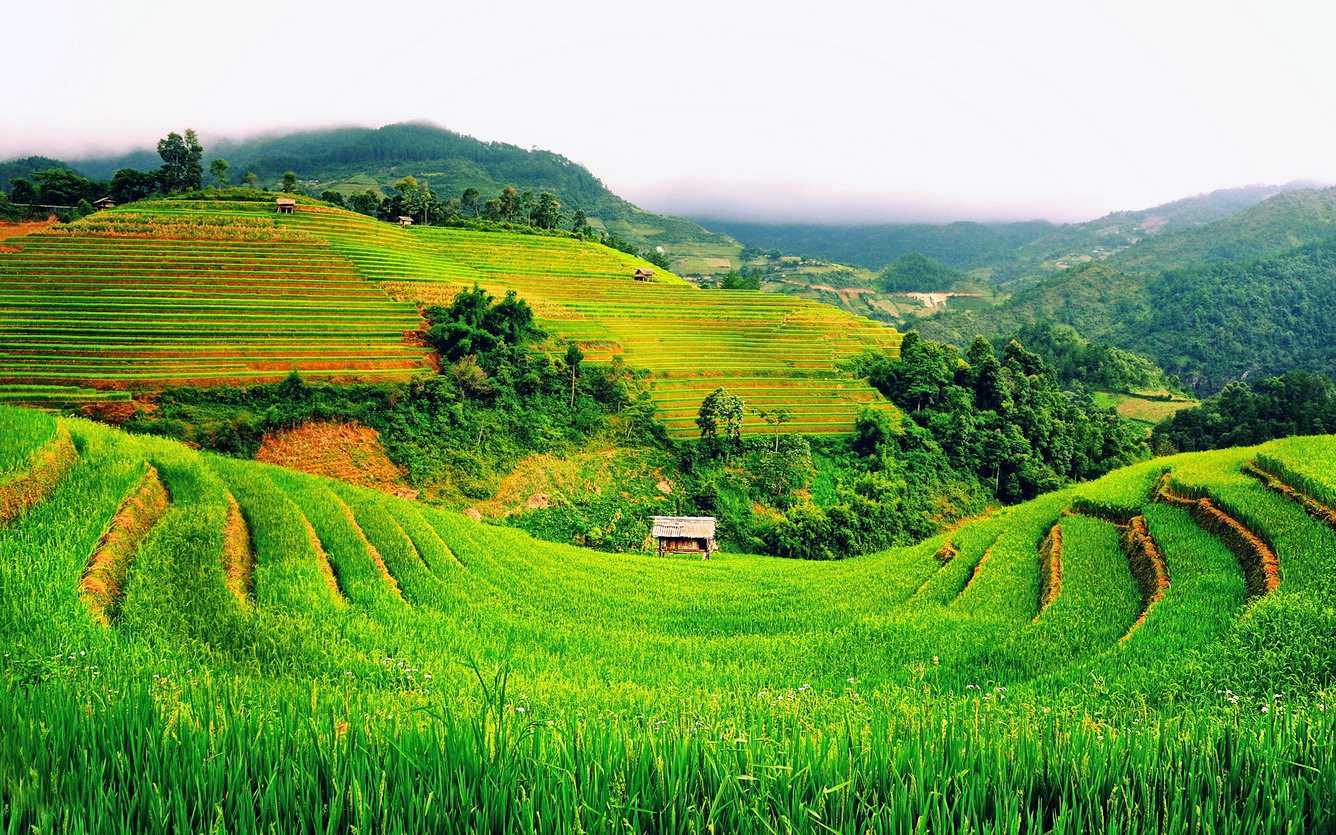 Từng bậc thang ươm màu qua phố bản…