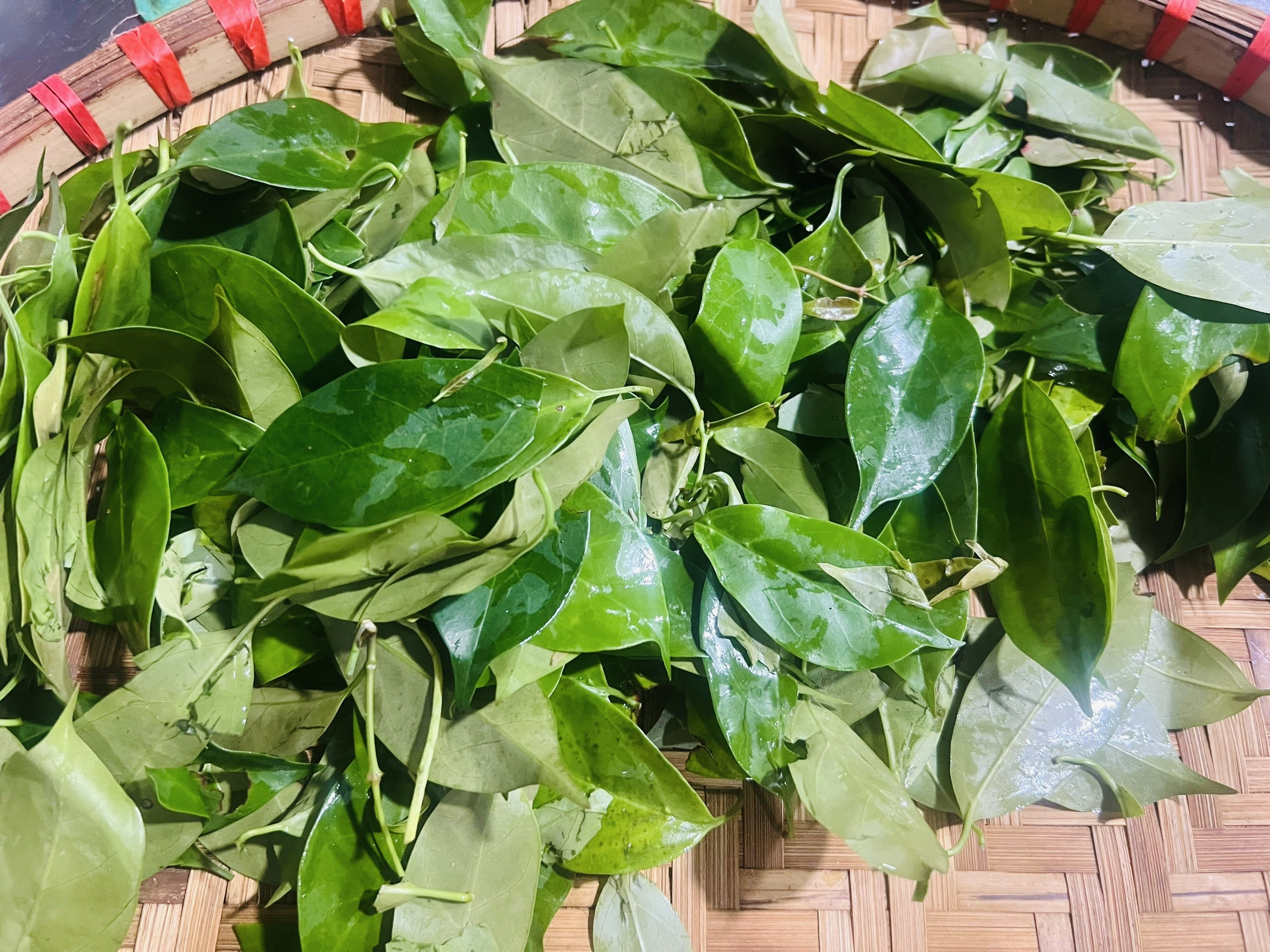 Loại rau rừng Tây Bắc ngon, sạch, lạ muốn đọc phải uốn lưỡi 2 lần, quý như nhân sâm của người Việt- Ảnh 1. Loại rau rừng Tây Bắc ngon, sạch, lạ muốn đọc phải uốn lưỡi 2 lần, quý như nhân sâm của người Việt- Ảnh 1.