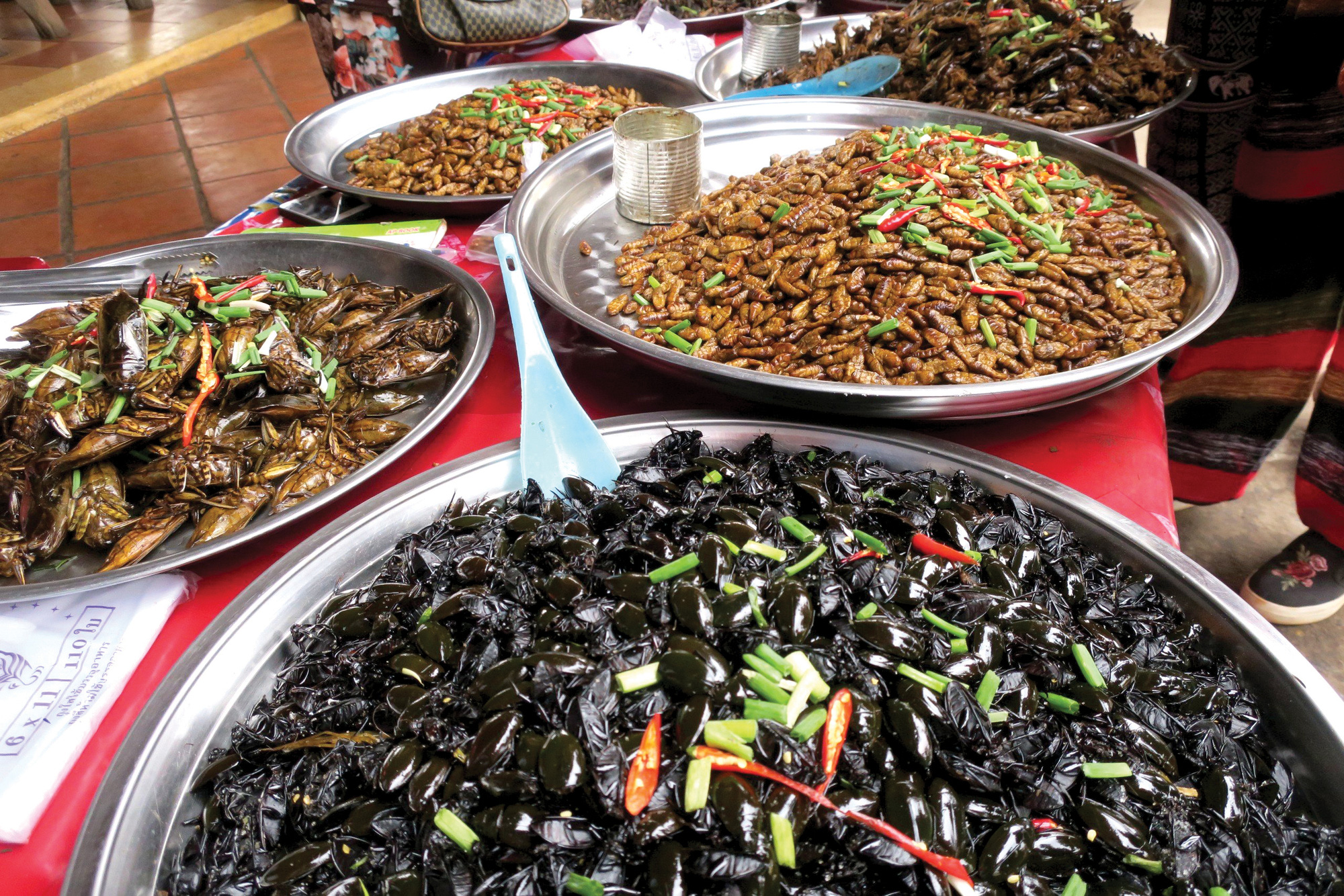 Món côn trùng, bếp núc ngày càng sáng tạo - Ảnh 1. Món côn trùng, bếp núc ngày càng sáng tạo - Ảnh 1.