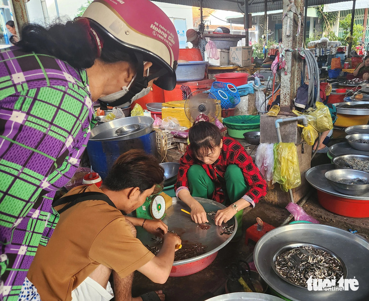 Mực nước đầu nguồn Đồng bằng sông Cửu Long tăng nhẹ, sản vật mùa nước nổi bắt đầu về chợ- Ảnh 1. Cá linh được tiểu thương chợ Nhà Bàng bán với giá 250.000 - 300.000 đồng/kg - Ảnh: BỬU ĐẤU