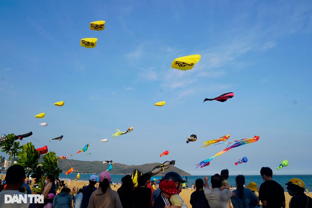 Ngắm diều khủng tung bay trên bầu trời Quy Nhơn - 1 Ngắm diều khủng tung bay trên bầu trời Quy Nhơn - 1