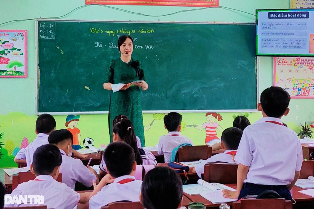 Quảng Ngãi thiếu 900 giáo viên cho năm học 2024-2025 - 1 Quảng Ngãi thiếu 900 giáo viên cho năm học 2024-2025 - 1