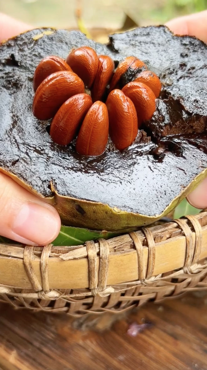 Loại quả 'đen sì' ở Việt Nam, hương vị độc lạ được nhiều người săn lùng: Riêng hạt giống đã lên tới 50k/hạt nhỏ xíu - Ảnh 1. Loại quả 'đen sì' ở Việt Nam, hương vị độc lạ được nhiều người săn lùng: Riêng hạt giống đã lên tới 50k/hạt nhỏ xíu - Ảnh 1.