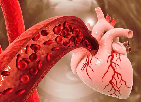 Tác dụng bất ngờ của giấm táo đến cholesterol trong máu- Ảnh 2. Tác dụng bất ngờ của giấm táo đến cholesterol trong máu- Ảnh 2.