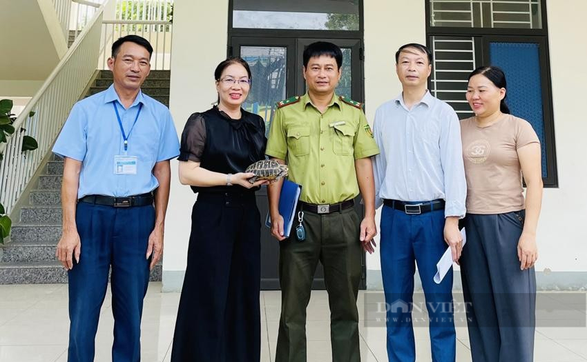 Hà Tĩnh: Phát hiện cá thể rùa núi vàng trong khuôn viên trường học - Ảnh 1. Hà Tĩnh: Phát hiện cá thể rùa núi vàng trong khuôn viên trường học - Ảnh 1.