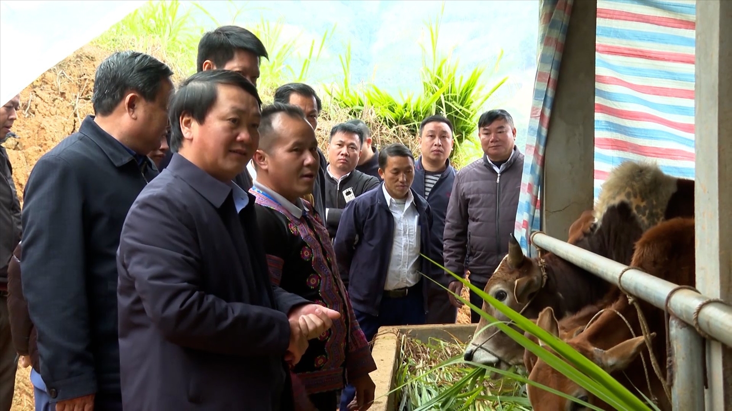 Bộ trưởng Hầu A Lềnh kiểm tra một mô hình chăn nuôi bò được lồng ghép từ các nguồn vốn của Chương trình MTQG 1719 và nguồn lực của tỉnh Yên Bái tại xã Trạm Tấu, huyện Trạm Tấu, tỉnh Yên Bái Bộ trưởng Hầu A Lềnh kiểm tra một mô hình chăn nuôi bò được lồng ghép từ các nguồn vốn của Chương trình MTQG 1719 và nguồn lực của tỉnh Yên Bái tại xã Trạm Tấu, huyện Trạm Tấu, tỉnh Yên Bái