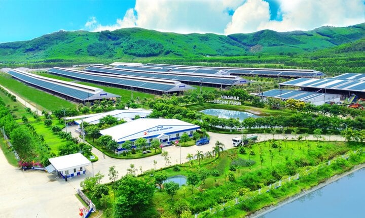 CEO Mai Kiều Liên: Điều gì cần thiết, phục vụ cho xã hội, Vinamilk sẽ làm - Vietnam.vn CEO Mai Kiều Liên: Điều gì cần thiết, phục vụ cho xã hội, Vinamilk sẽ làm