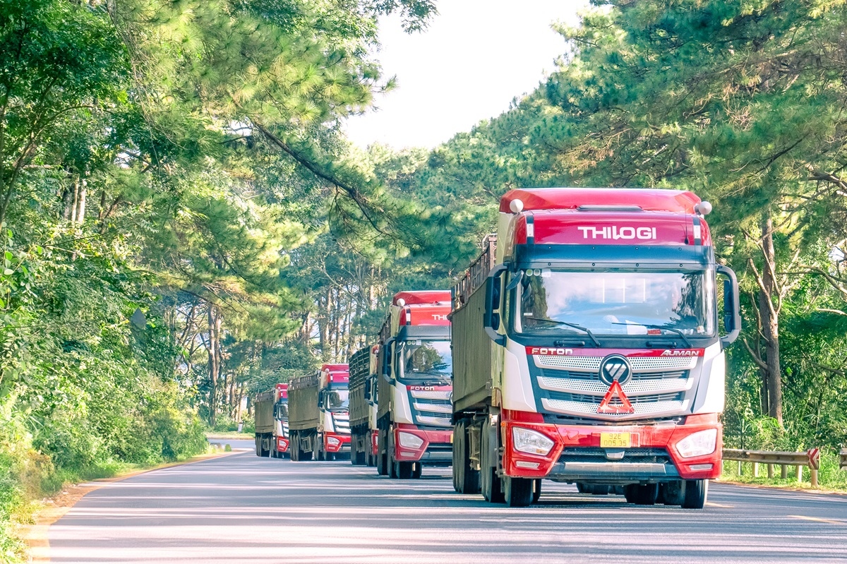 THILOGI nâng cấp chuỗi dịch vụ logistics trọn gói THILOGI nâng cấp chuỗi dịch vụ logistics trọn gói