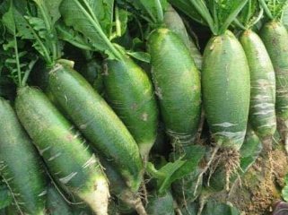 10 loại rau giàu chất sắt - Ảnh 2. 10 loại rau giàu chất sắt - Ảnh 2.