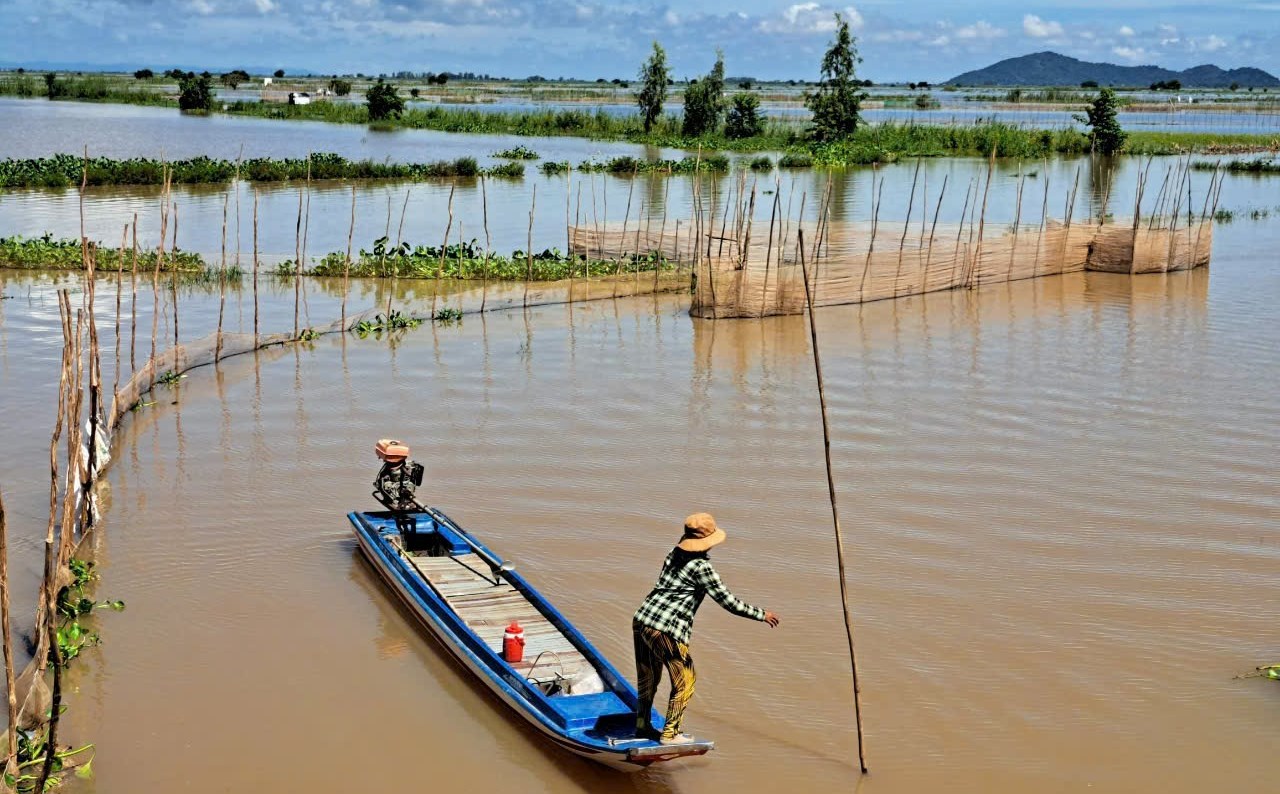 Đến An Giang mùa nước nổi, nếm đặc sản cá linh non trứ danh- Ảnh 3. Đến An Giang mùa nước nổi, nếm đặc sản cá linh non trứ danh- Ảnh 3.