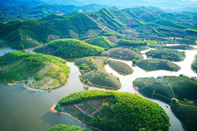 Khám phá những đồi chè có khung cảnh tuyệt đẹp tại Việt Nam- Ảnh 3. Khám phá những đồi chè có khung cảnh tuyệt đẹp tại Việt Nam- Ảnh 3.