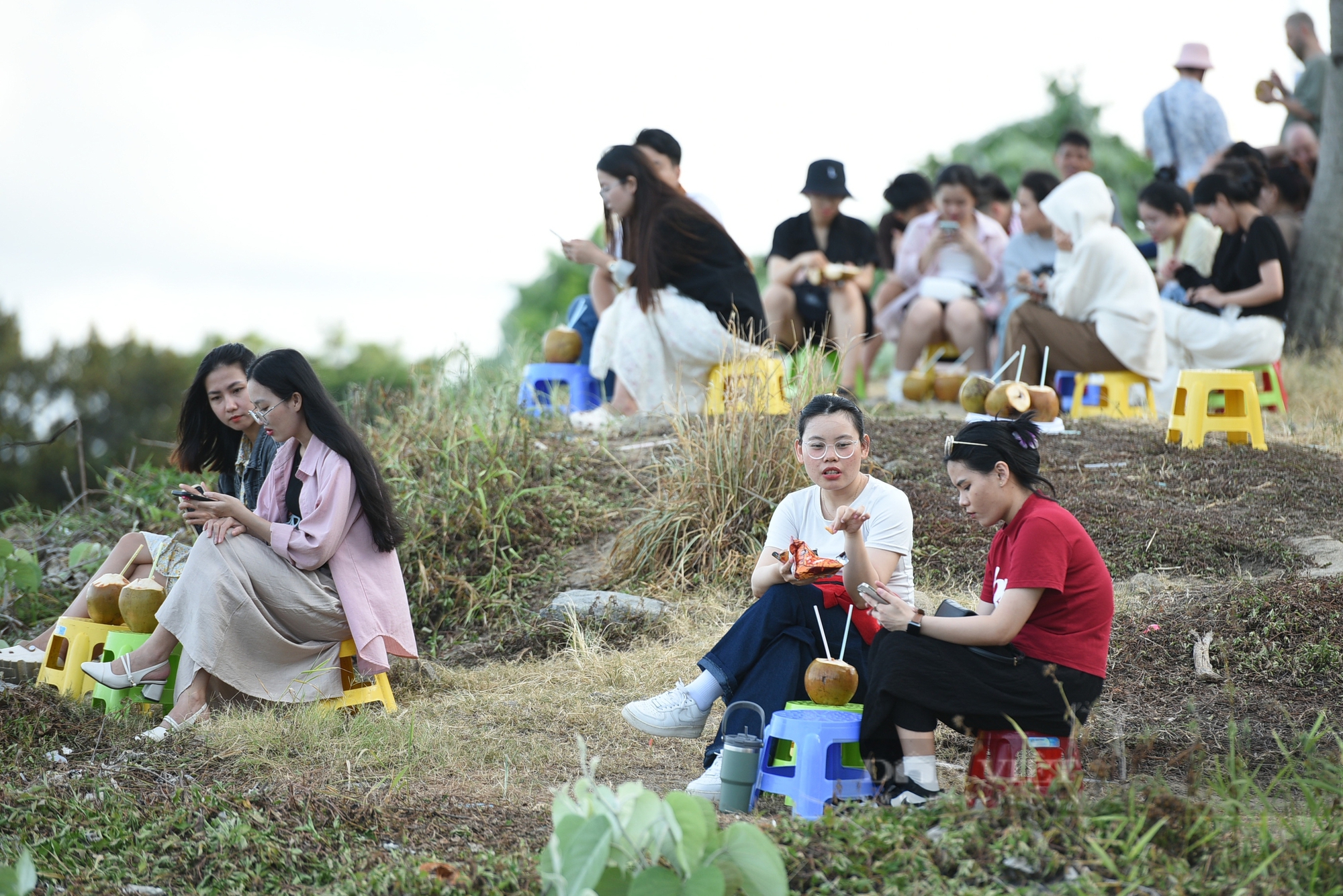 Nhiều em nhỏ tạo dáng chụp ảnh cùng cờ Tổ quốc trên núi Sơn Trà- Ảnh 2. Nhiều em nhỏ tạo dáng chụp ảnh cùng cờ Tổ quốc trên núi Sơn Trà- Ảnh 2.