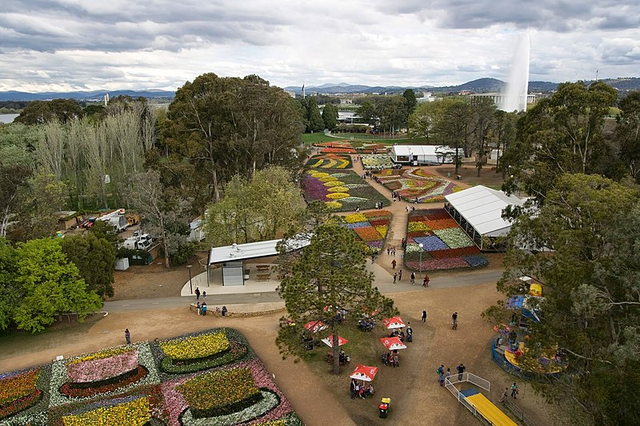 Đến thăm những địa điểm nổi tiếng tại Canberra vào dịp mùa thu- Ảnh 5. Đến thăm những địa điểm nổi tiếng tại Canberra vào dịp mùa thu- Ảnh 5.