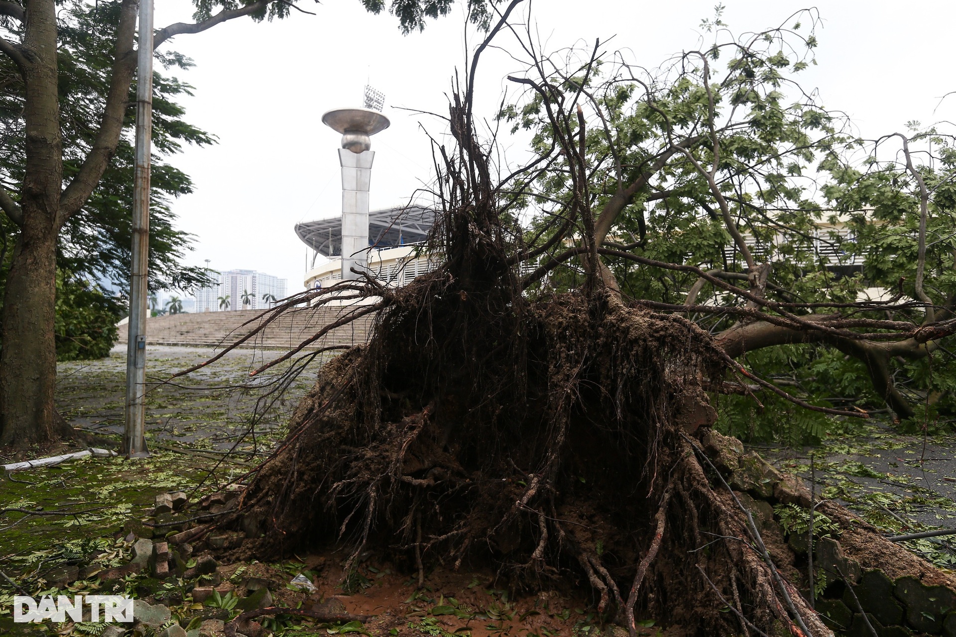 Sân Mỹ Đình bị bão Yagi càn quét, ngổn ngang trước trận Việt Nam - Thái Lan - 3 Sân Mỹ Đình bị bão Yagi càn quét, ngổn ngang trước trận Việt Nam - Thái Lan - 3