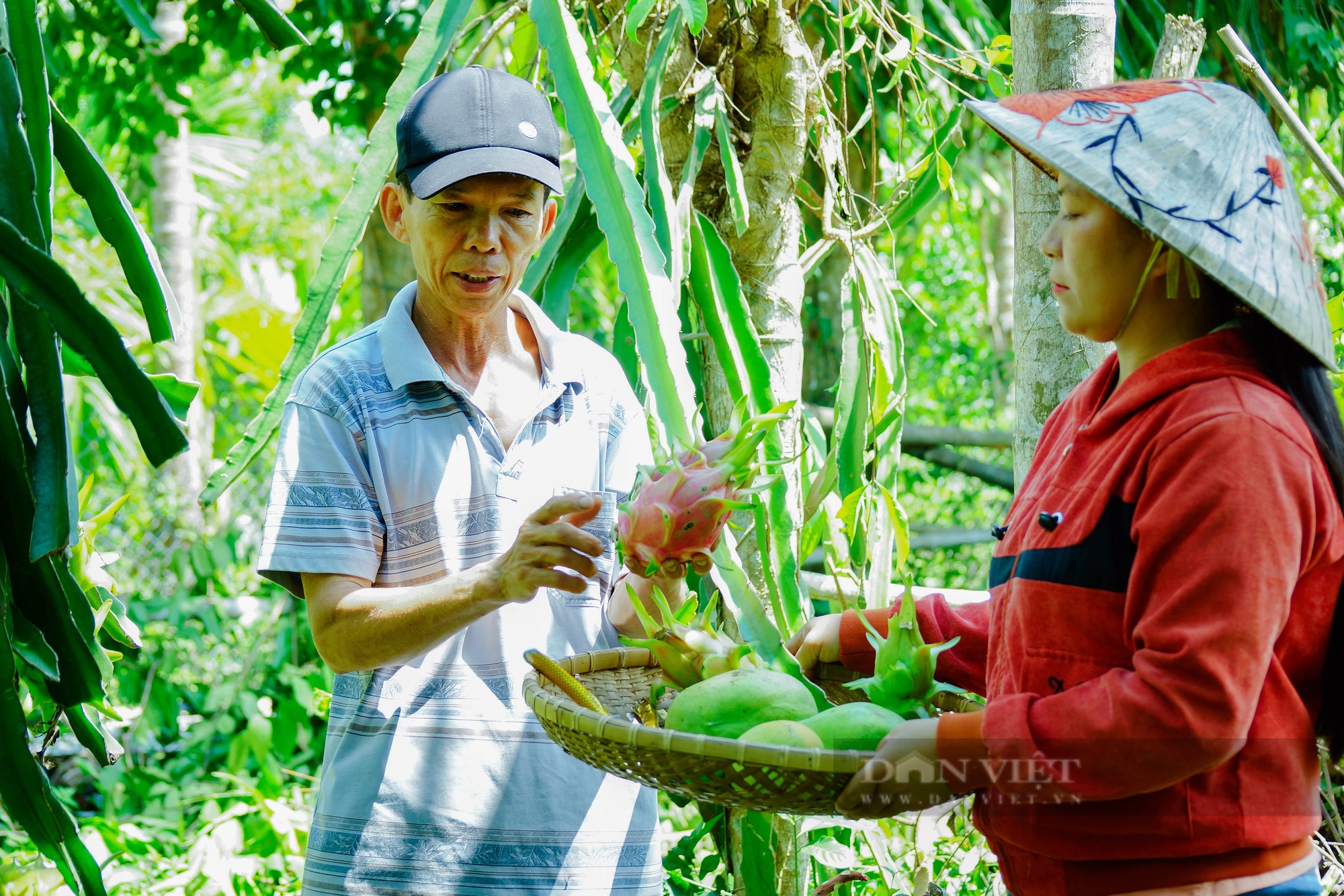 Quảng Nam đã có 129 xã đạt chuẩn nông thôn mới- Ảnh 4. Quảng Nam đã có 129 xã đạt chuẩn nông thôn mới- Ảnh 4.