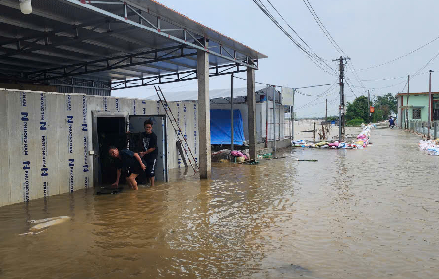 Cận cảnh khẩn cấp hộ đê, sơ tán dân tại các vùng báo động lũ cấp 3 ở Nam Định- Ảnh 4. Cận cảnh khẩn cấp hộ đê, sơ tán dân tại các vùng báo động lũ cấp 3 ở Nam Định- Ảnh 4.