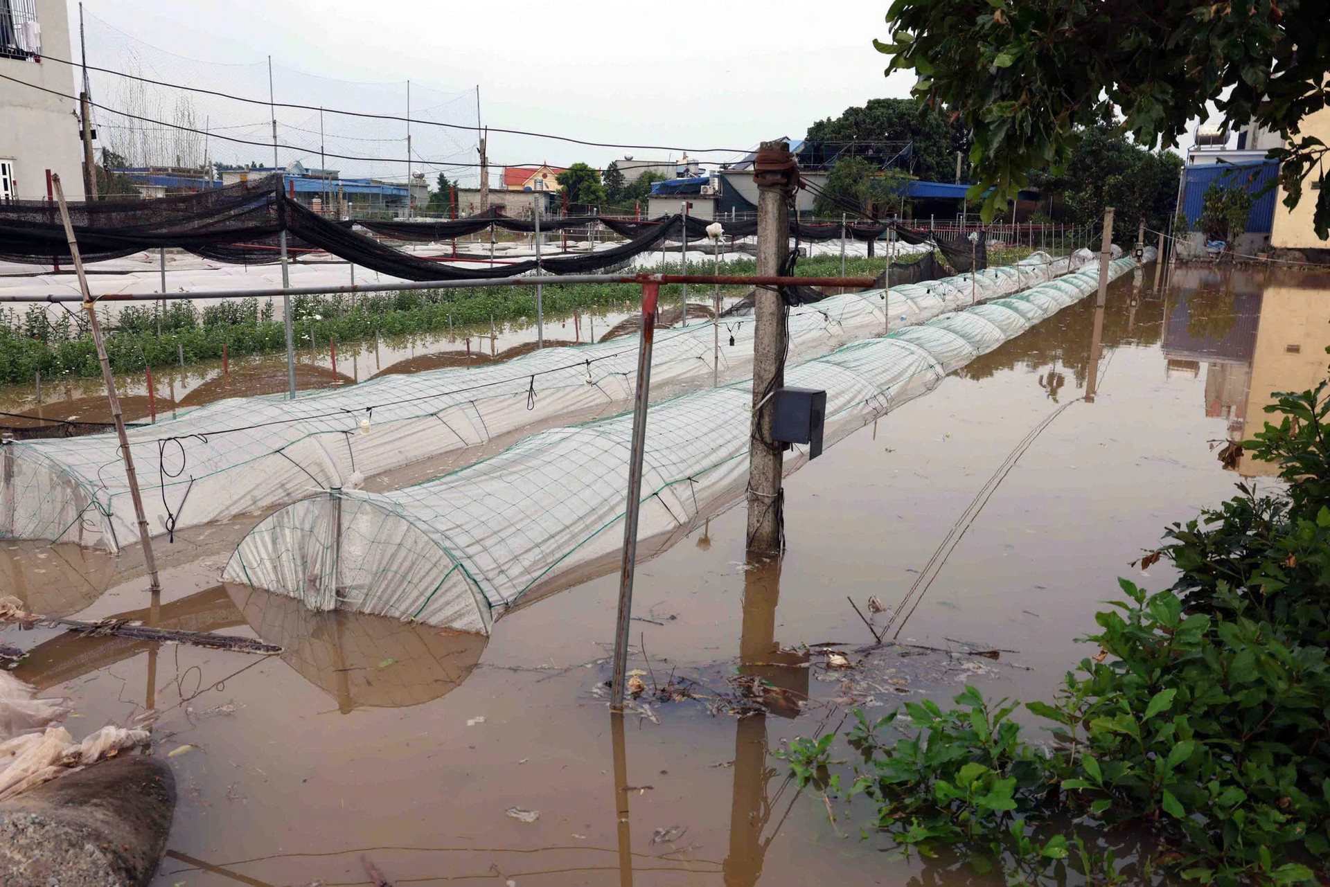 Phó Thủ tướng Trần Hồng Hà kiểm tra công tác khắc phục hậu quả sau bão số 3 tại tỉnh Nam Định- Ảnh 4. Phó Thủ tướng Trần Hồng Hà kiểm tra công tác khắc phục hậu quả sau bão số 3 tại tỉnh Nam Định- Ảnh 4.