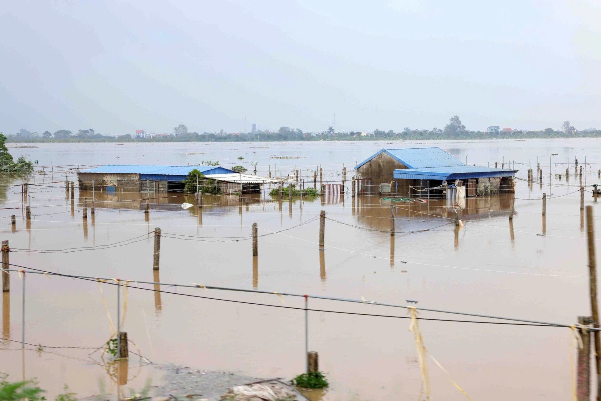 Phó Thủ tướng Trần Hồng Hà kiểm tra công tác khắc phục hậu quả sau bão số 3 tại tỉnh Nam Định- Ảnh 6. Phó Thủ tướng Trần Hồng Hà kiểm tra công tác khắc phục hậu quả sau bão số 3 tại tỉnh Nam Định- Ảnh 6.
