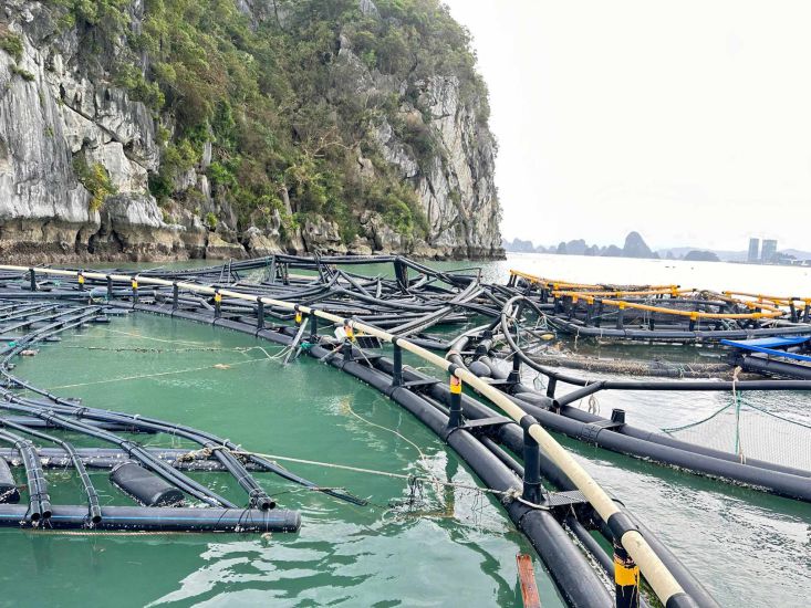 Các lồng nuôi cá, lồng nuôi thủy sản đều bị gió bão phá hỏng, cuốn trôi. Ảnh: Vũ Long